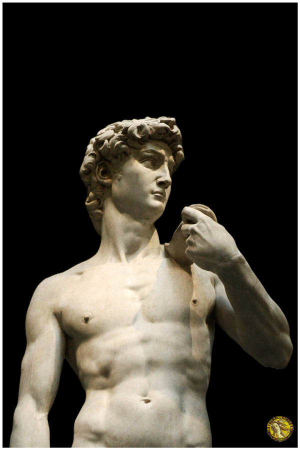 Statue of David | Michelangelo (1504) | Vintage Sculptures | Art Print | Wall Frame