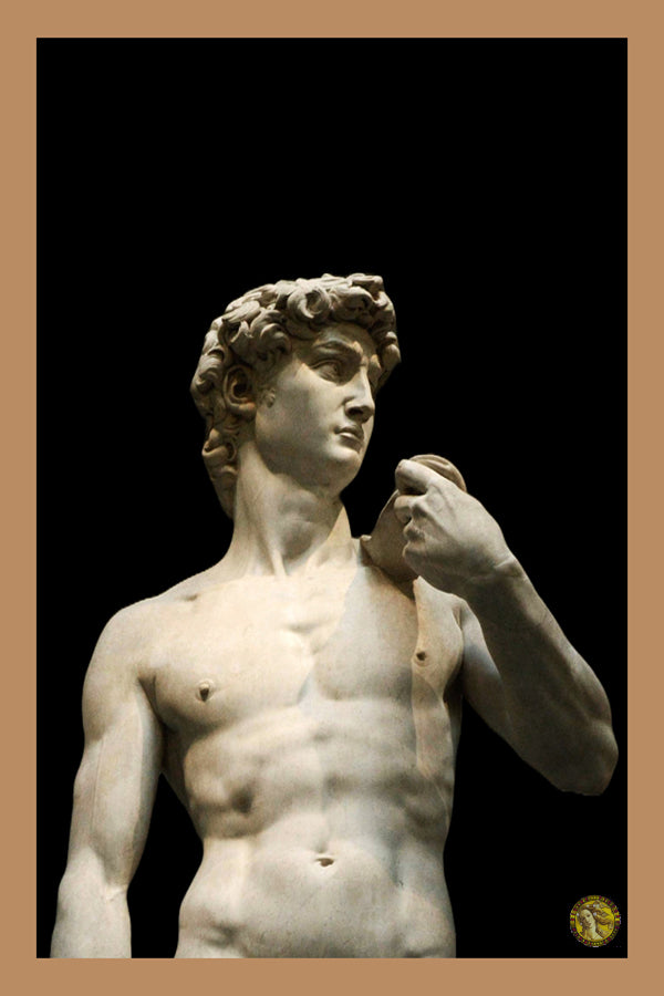 Statue of David | Michelangelo (1504) | Vintage Sculptures | Art Print | Wall Frame