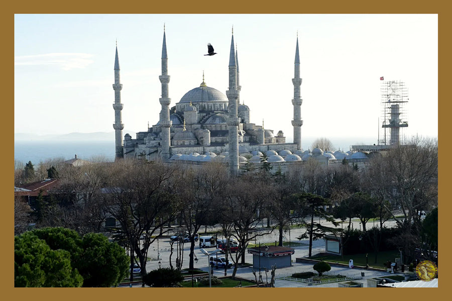 Sultan Ahmed Mosque |  Istanbul Turkey | Vintage Landscape Architecture | Wall Frame