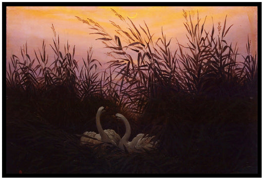 Swans In The Reeds | Caspar David Friedrich | Painting Art Print | Wall Frame