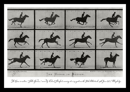 The Horse in Motion 1878 | Vintage Iconic Photograph | Wall Frame