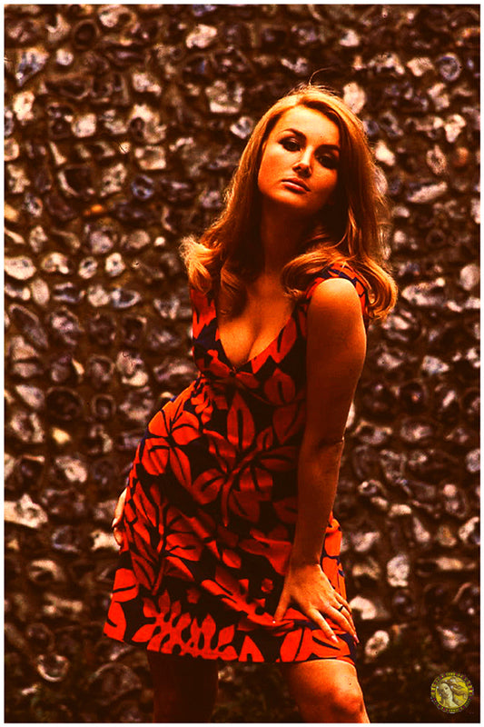 Barbara Bouchet | In A Mini Dress (1960s) | Vintage Hollywood Actress | Art Print | Wall Frame